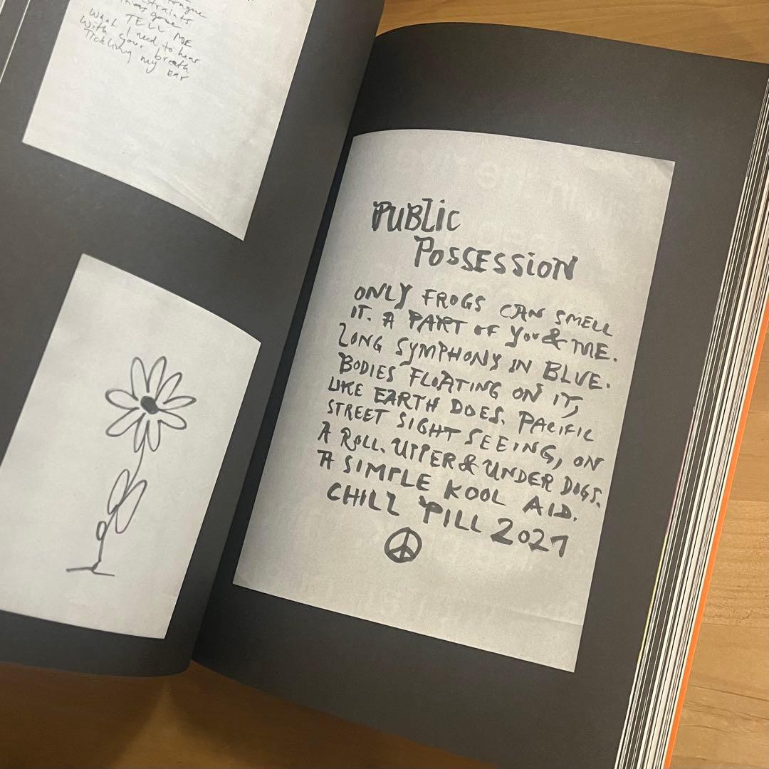 アート・デザイン・音楽 Public Possession Katalog(02) SorryPress