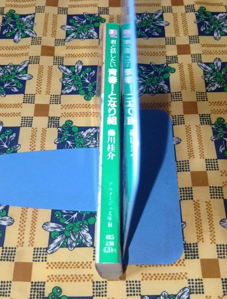 君と話したい 青春！となり組 藤川佳介 美樹本晴彦 アニメージュ文庫