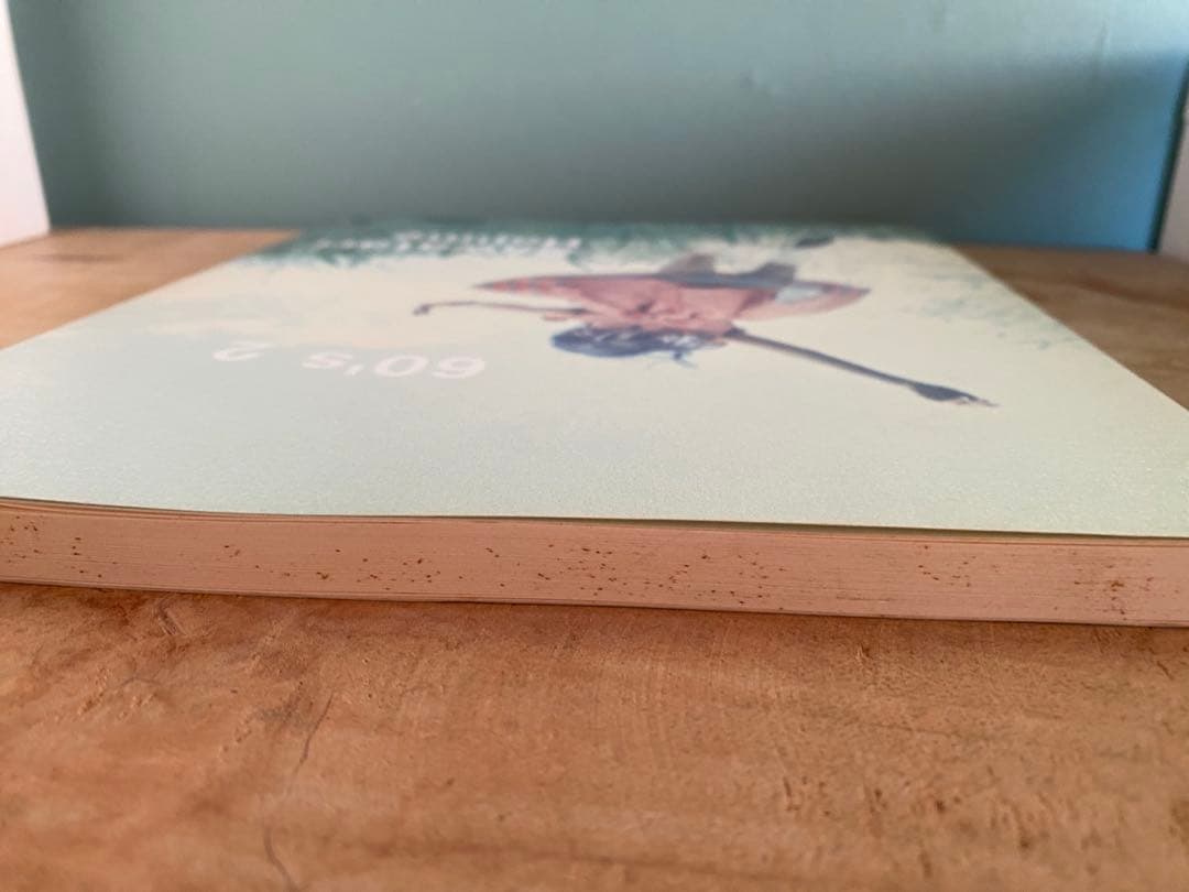 【直筆サイン入】沢渡朔 写真集『60's 2』Hajime Sawatari