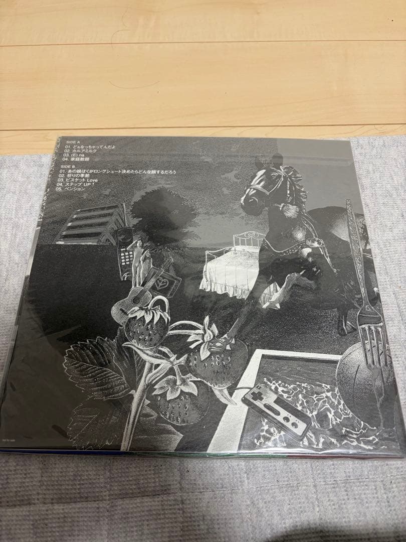岡村靖幸／家庭教師　レコード