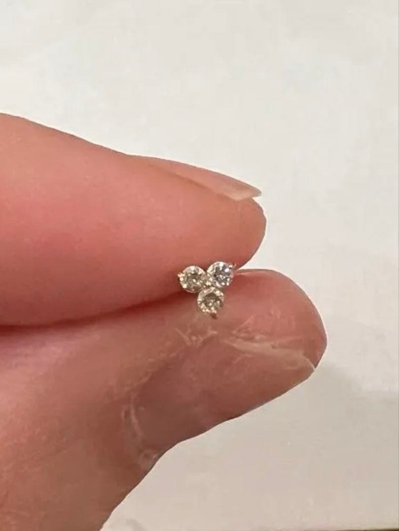 アナトメタル　三石デザイン　ボディピアス