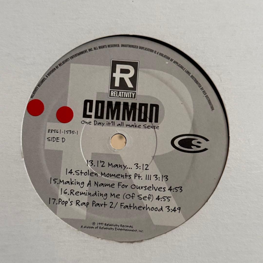 Common One Day It'll All Make Sense レコード