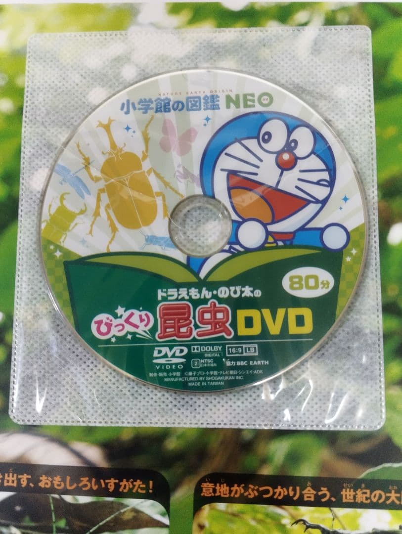 小学館の図鑑NEOシリーズ　12冊セット(1冊DVD付)