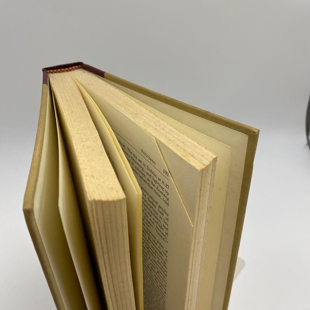 洋書 Critical Essays on James Joyce's Ulysses