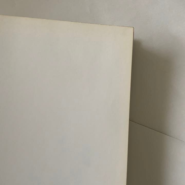 建築の20世紀