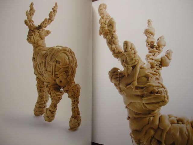 MORPHOSIS　KOHEI NAWA　名和晃平