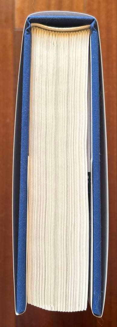 〈ほぼ新品〉The Story of Art 美術の物語