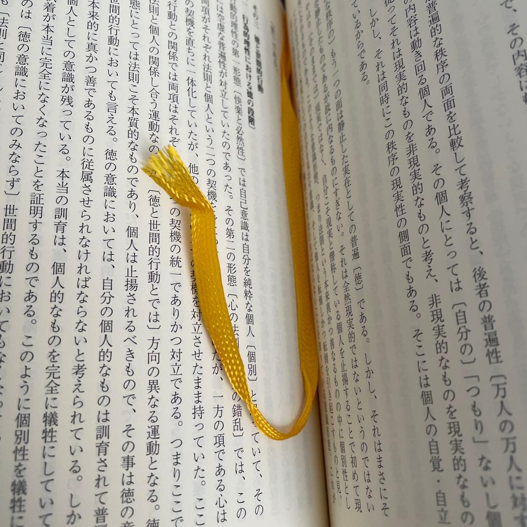 精神現象学 第二版 ヘーゲル 牧野訳