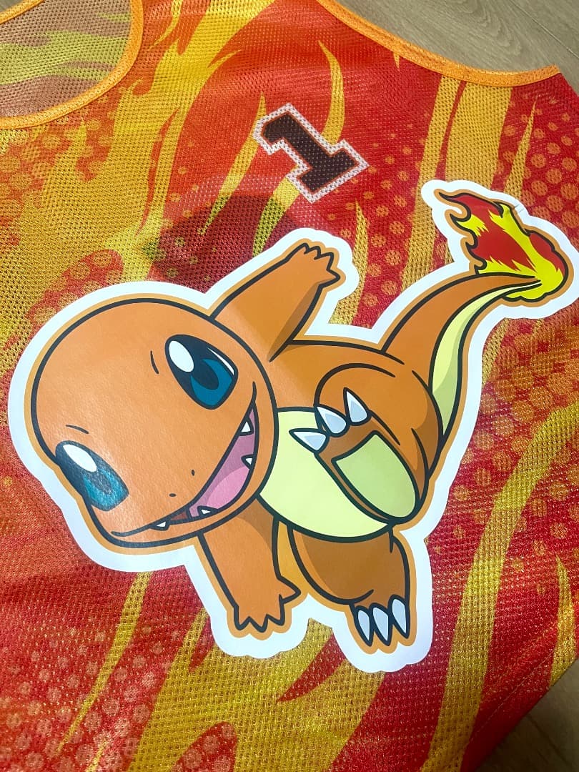 【新品・非売品】JFA公式 ポケモン 限定ビブス ヒトカゲ 他1〜10セット