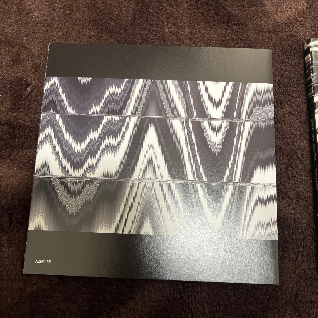 ONE OK ROCK Skyfall CD ワンオク