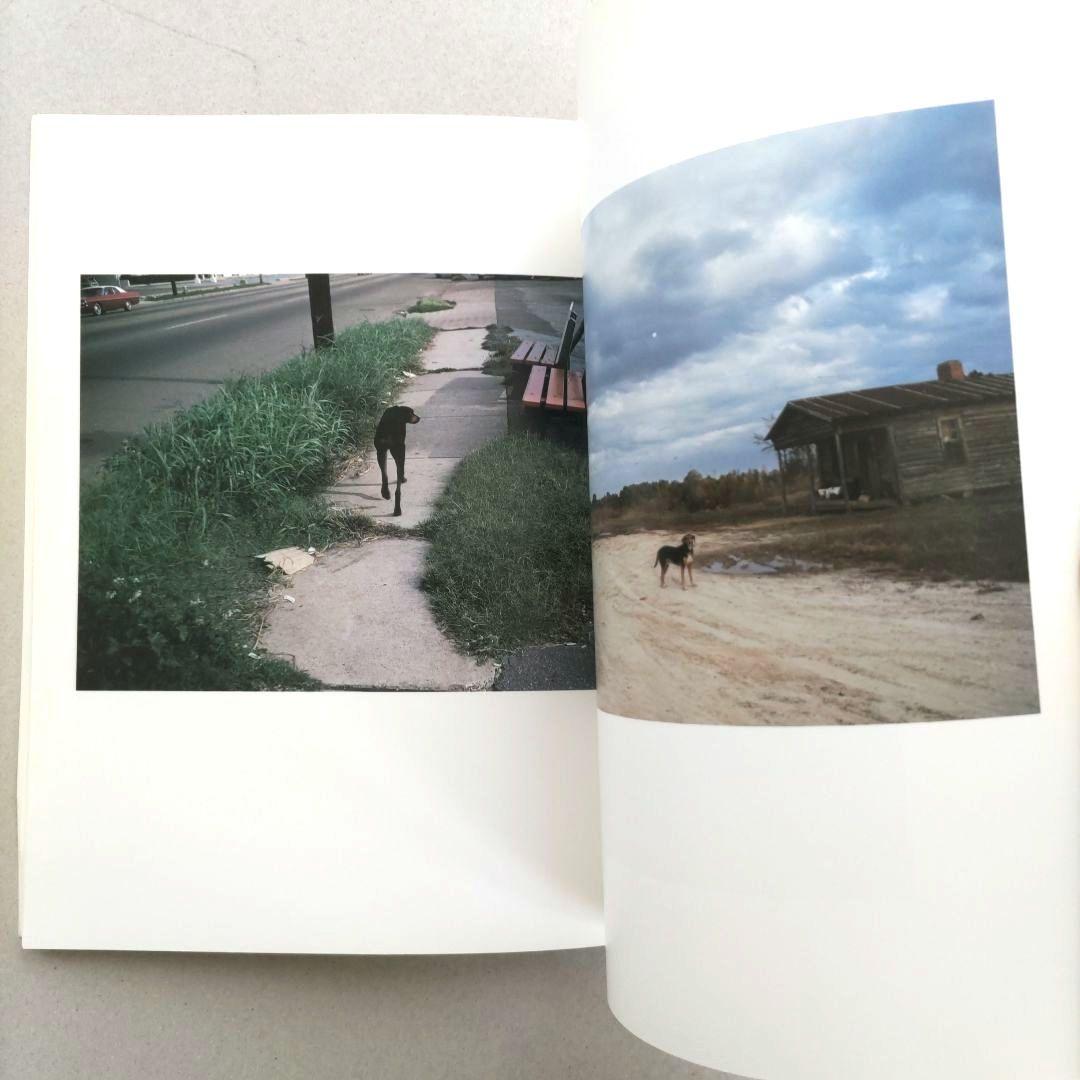 希少】Horses and Dogs:William Eggleston/写真希