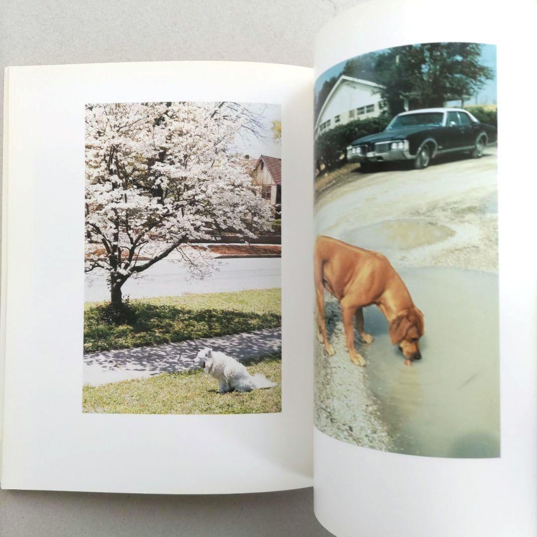 希少】Horses and Dogs:William Eggleston/写真希