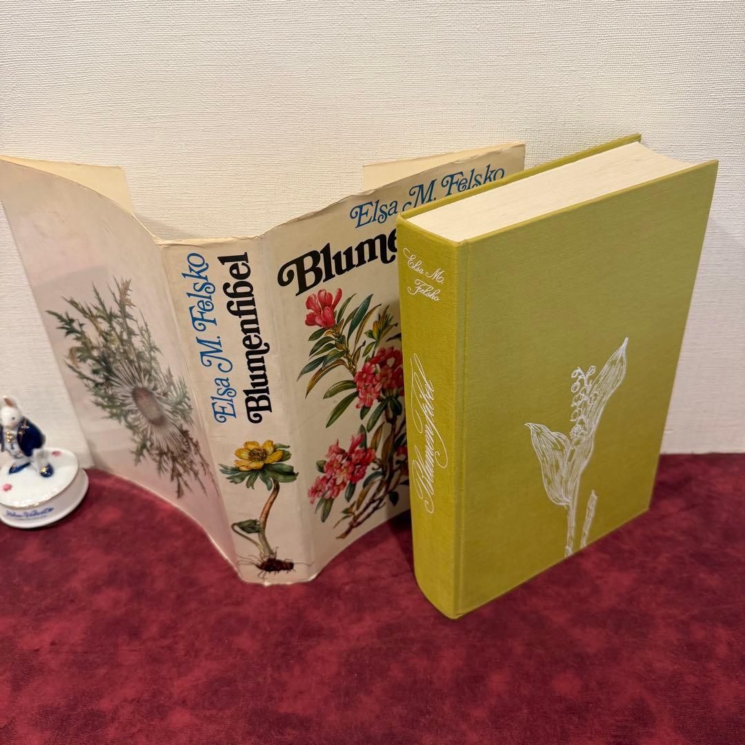 314③1980年ドイツElsa Flesko植物図鑑植物画　ジャンクジャーナル