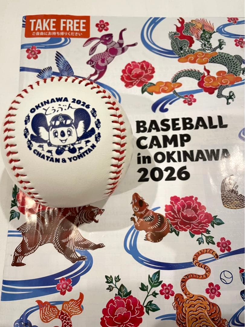 中日ドラゴンズ　高橋宏斗　直筆サインボール　2026沖縄キャンプ限定球