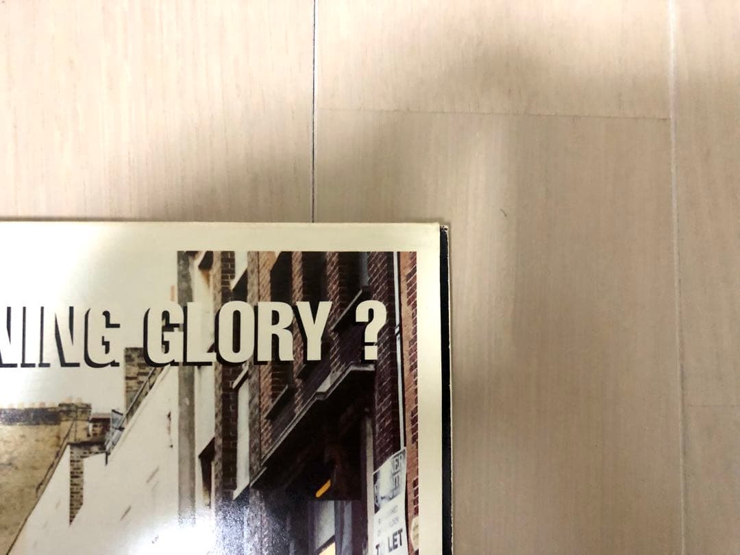 Oasis Morning Glory? 2LP アナログ レコード