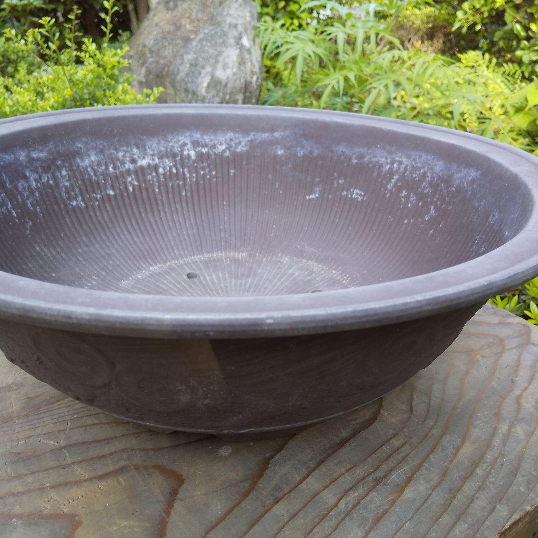 盆栽鉢 大品 12号 松柏類 無釉 泥鉢 泥物 外縁 丸 陣笠 彫入 雲龍文