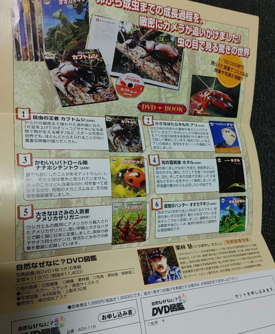 自然なぜなに DVD図鑑 ほば未使用 6冊セット 栗林 慧