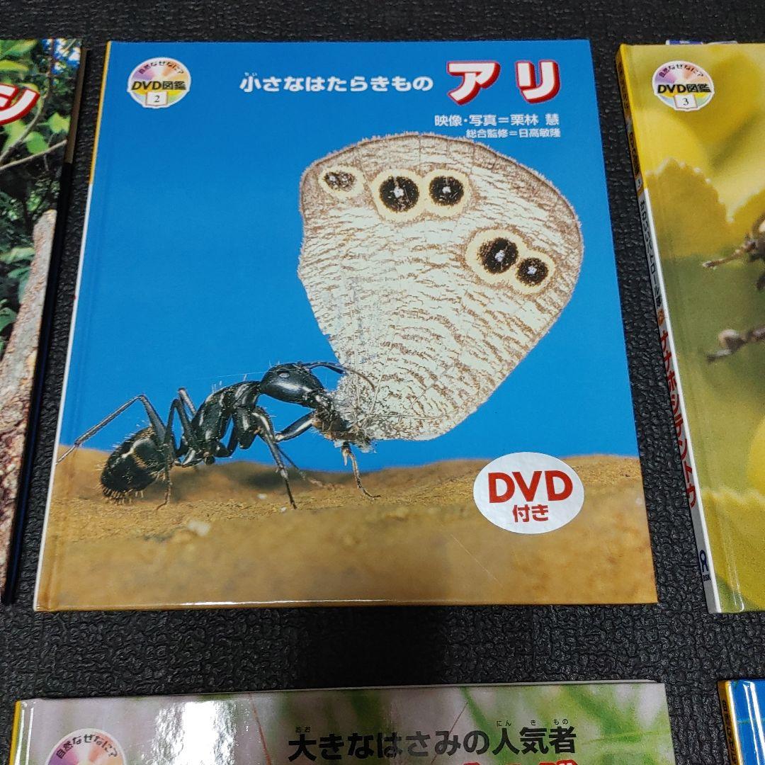 自然なぜなに DVD図鑑 ほば未使用 6冊セット 栗林 慧