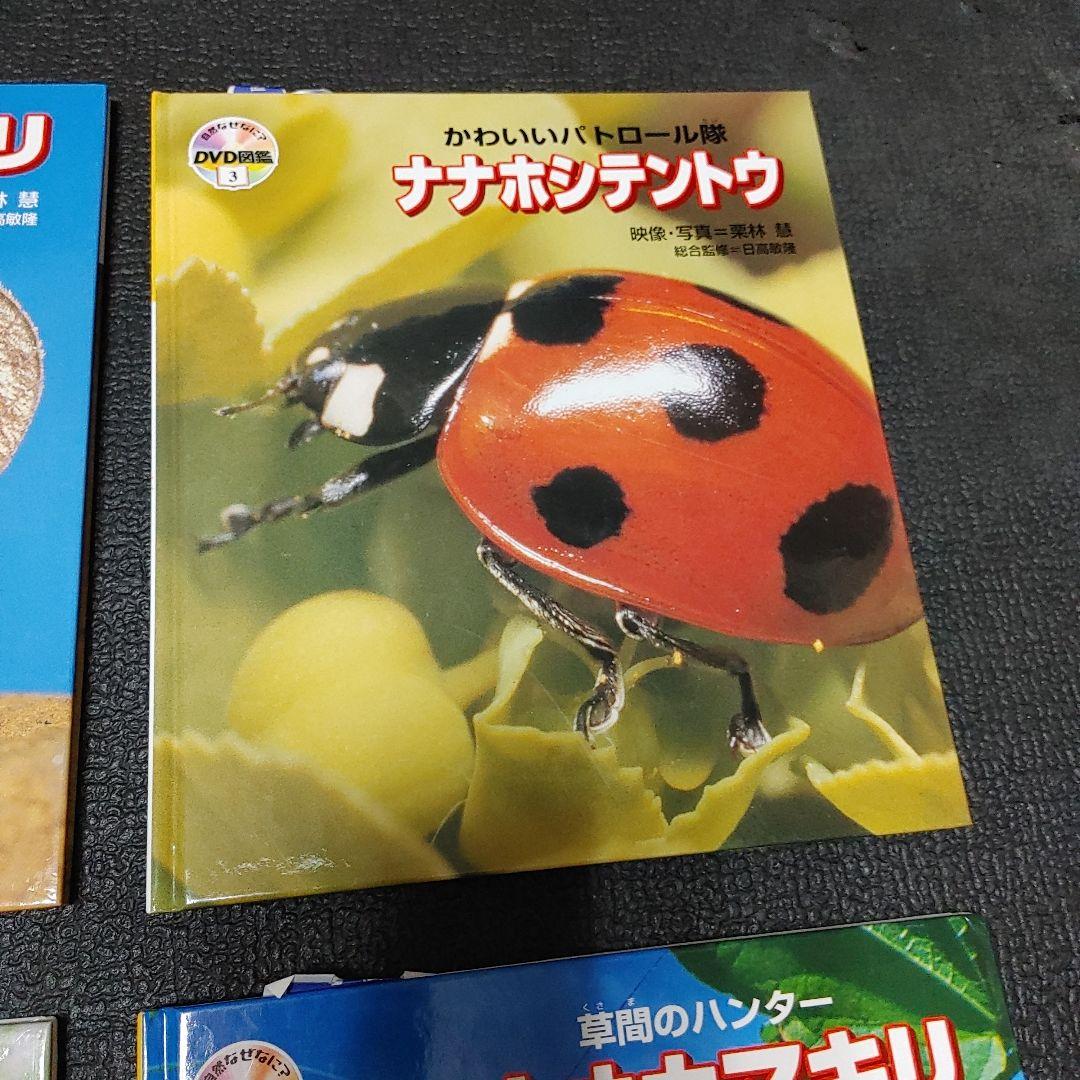 自然なぜなに DVD図鑑 ほば未使用 6冊セット 栗林 慧