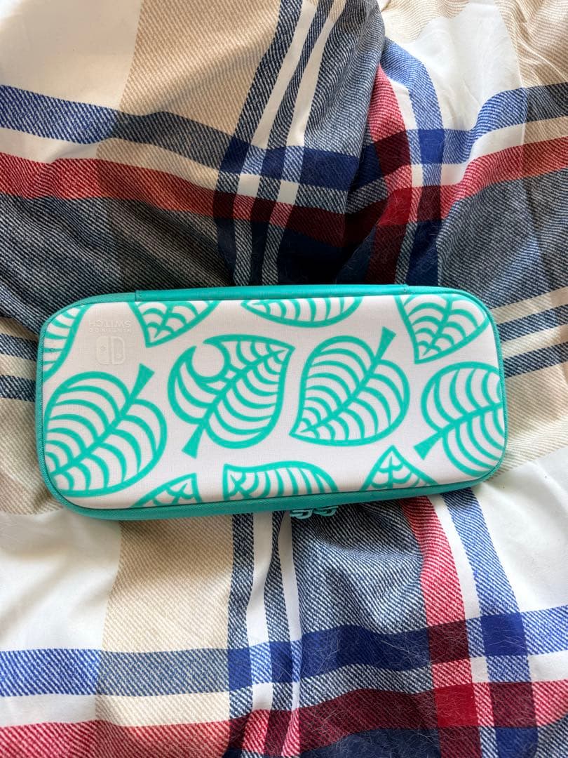 【箱付き】Nintendo Switch あつまれどうぶつの森セット ケース付き