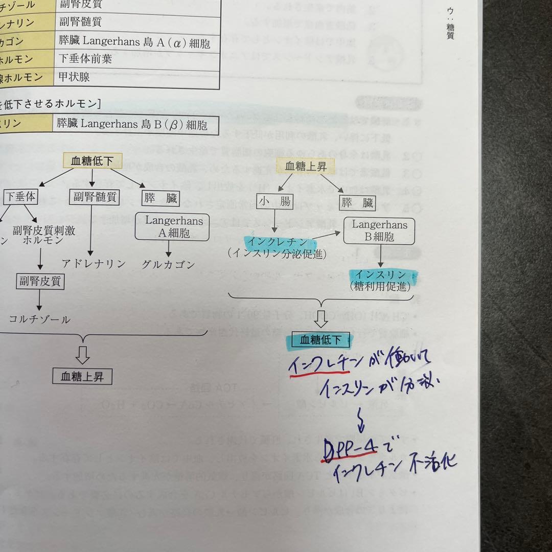 Complete MT 2026 6巻セット