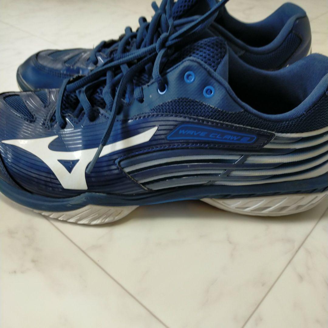 Mizuno ミズノ バドミントンシューズ ウエーブクロー 28cm 4E