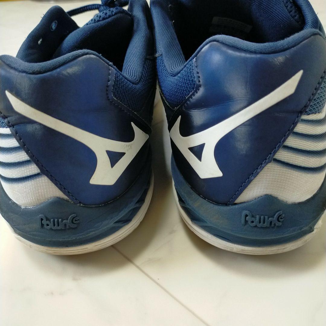 Mizuno ミズノ バドミントンシューズ ウエーブクロー 28cm 4E