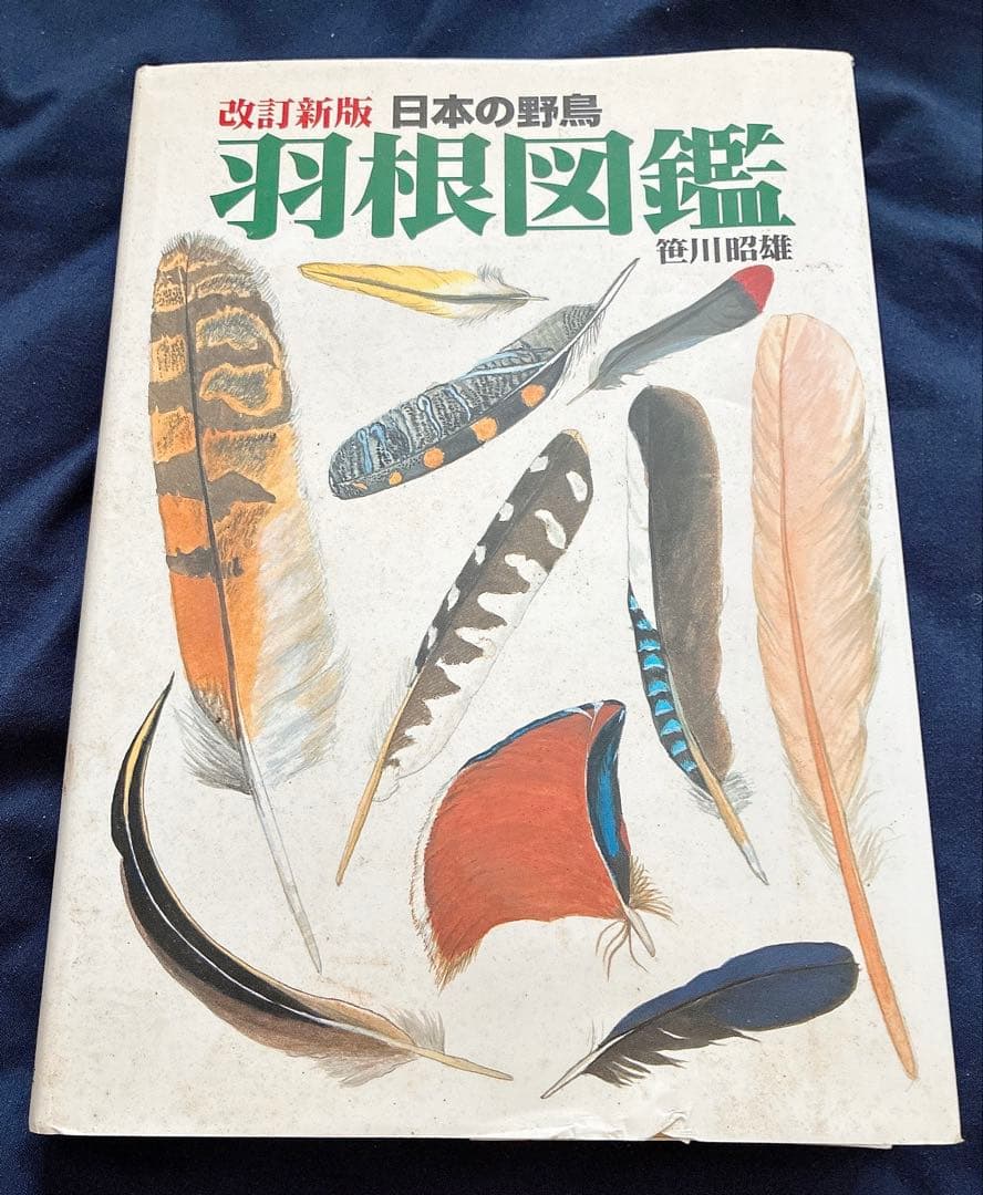 日本の野鳥　羽根図鑑 改訂新版