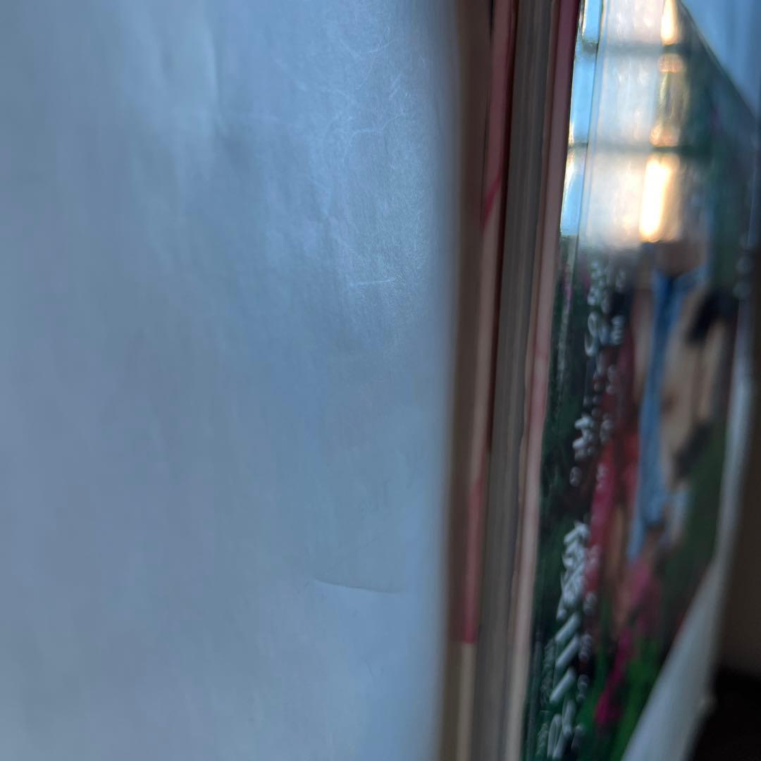 Ism : 磯山さやか　写真集