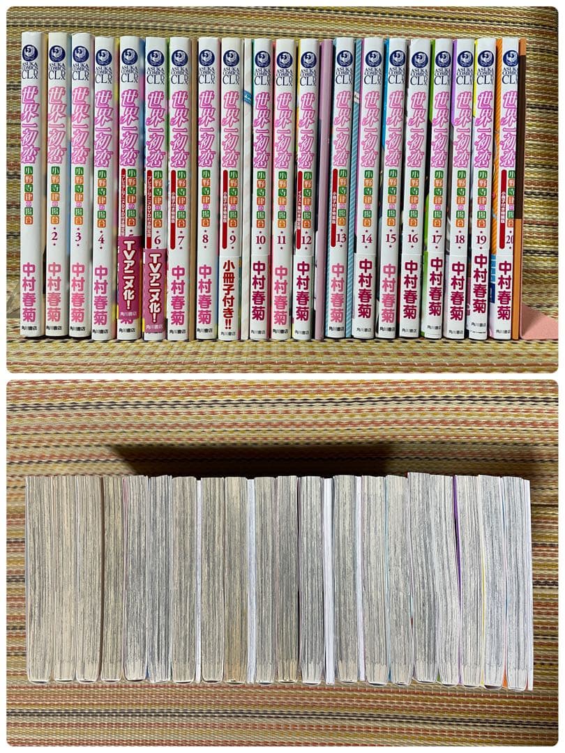 世界一初恋 小野寺律の場合 中村春菊 DVD 小冊子