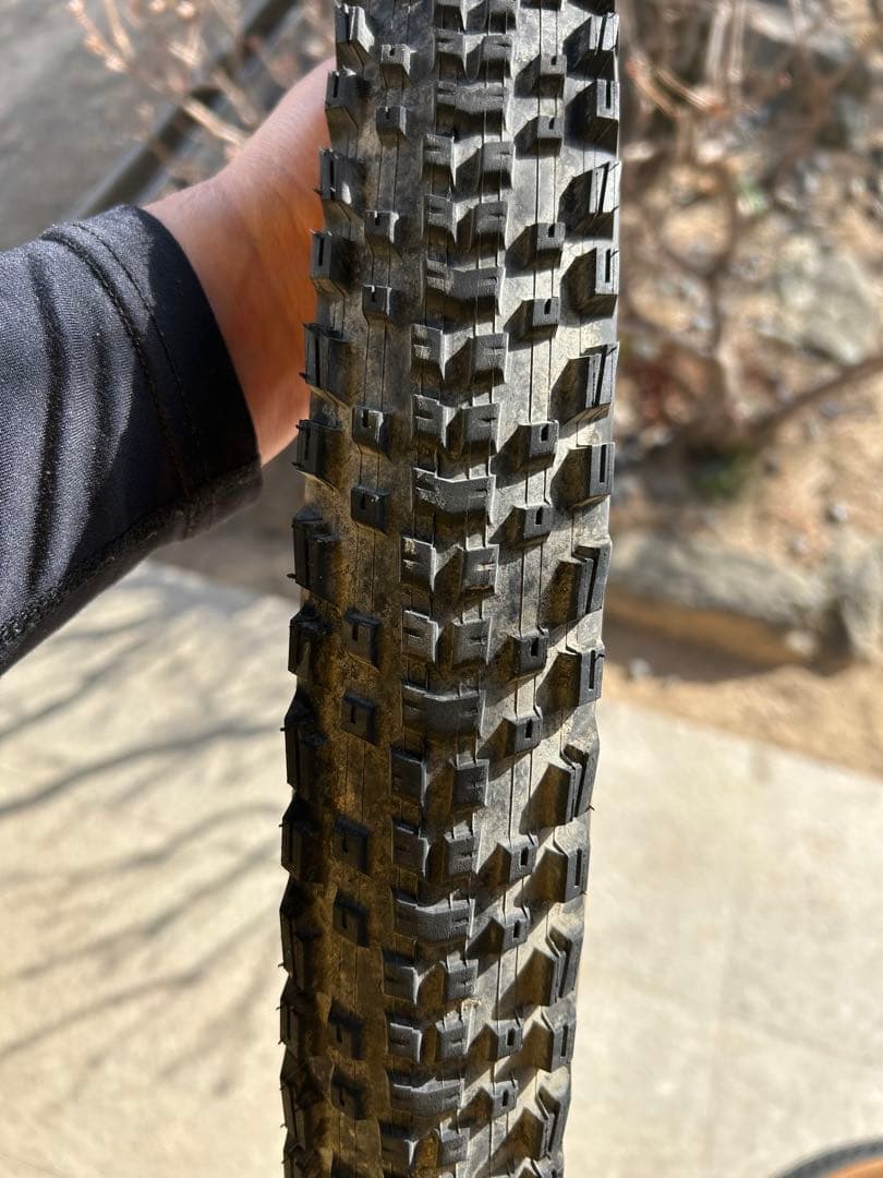 テラベイルTERAVAIL Ehline 27.5×2.5 Tan 2本セット