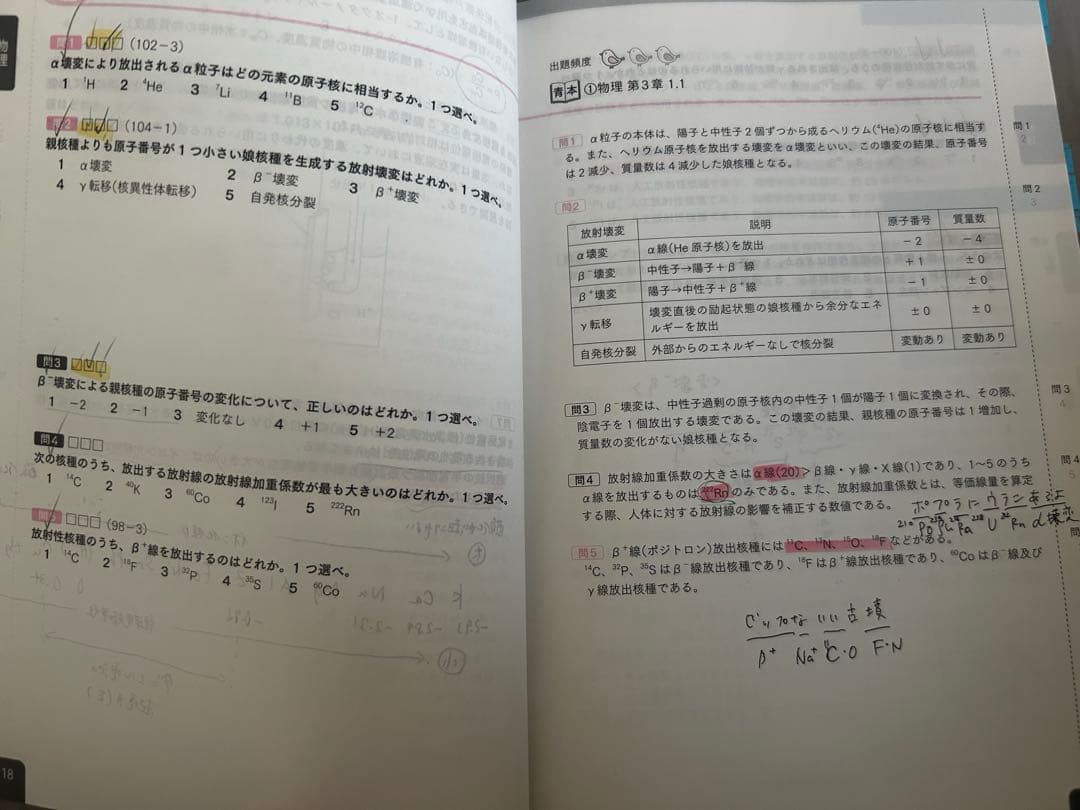 111回薬剤師国家試験対策参考書　青本青問セット　おまけつき