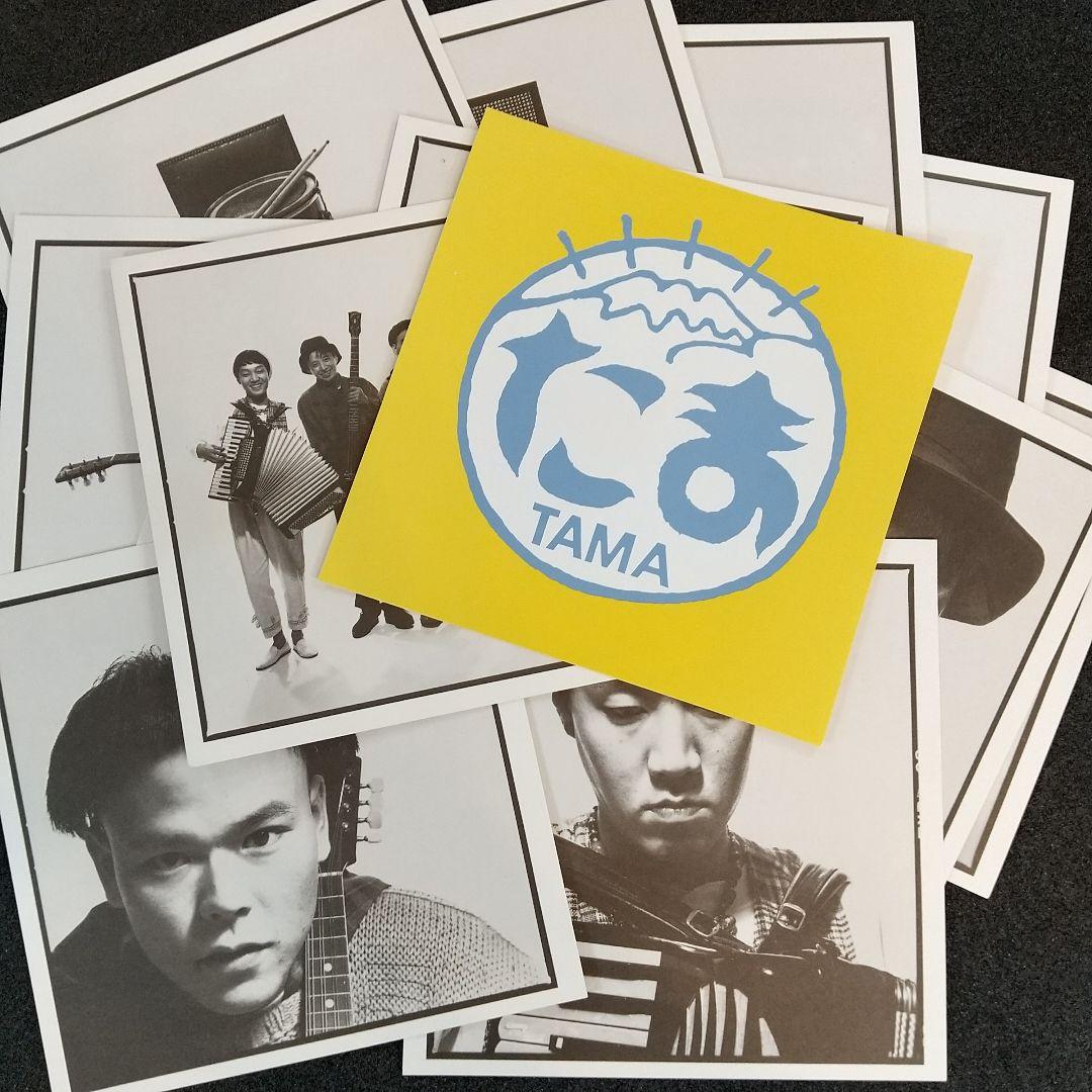 たま CDアルバム 3枚セット まとめ売り 「さんだる」「ひるね」「ナゴムコレ」