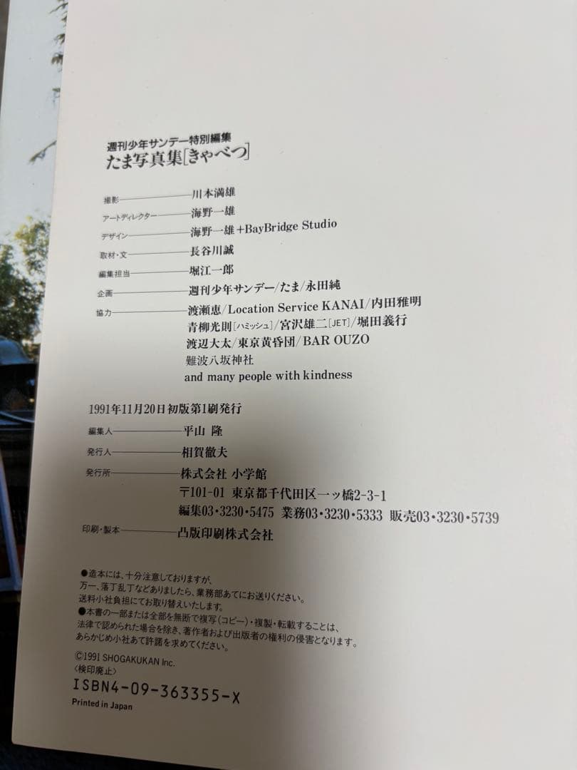 たま写真集　きゃべつ　川本満雄撮影