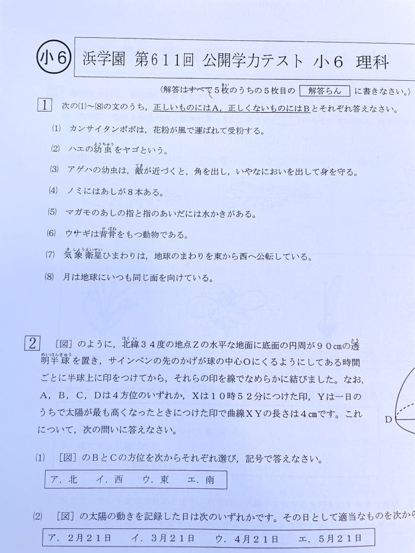 浜学園 小6 2023年、2024年度 2年分 4科目 公開学力テスト