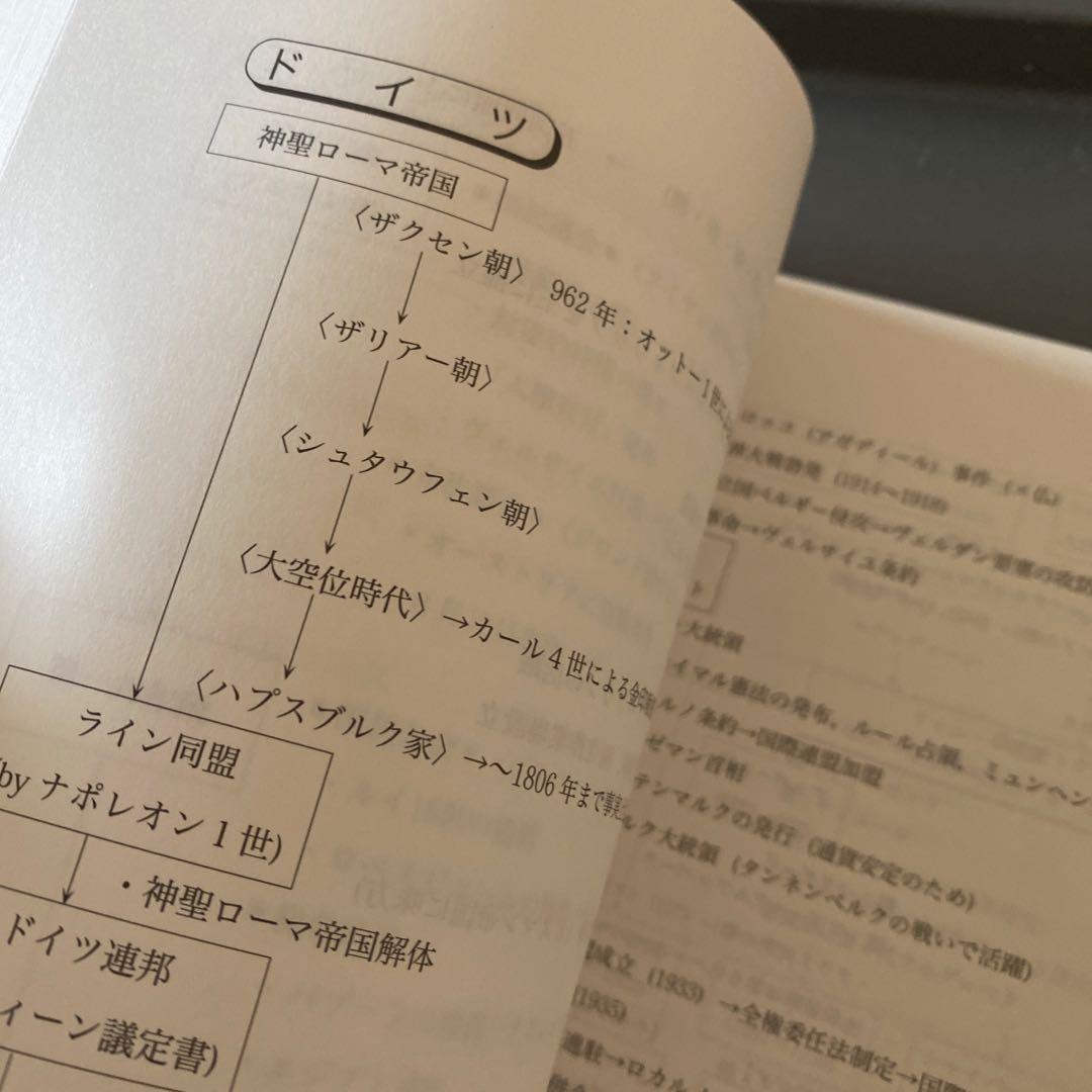 【ほぼ最新版】代ゼミテキスト 受験世界史最後の救世主 佐藤幸夫 2025年