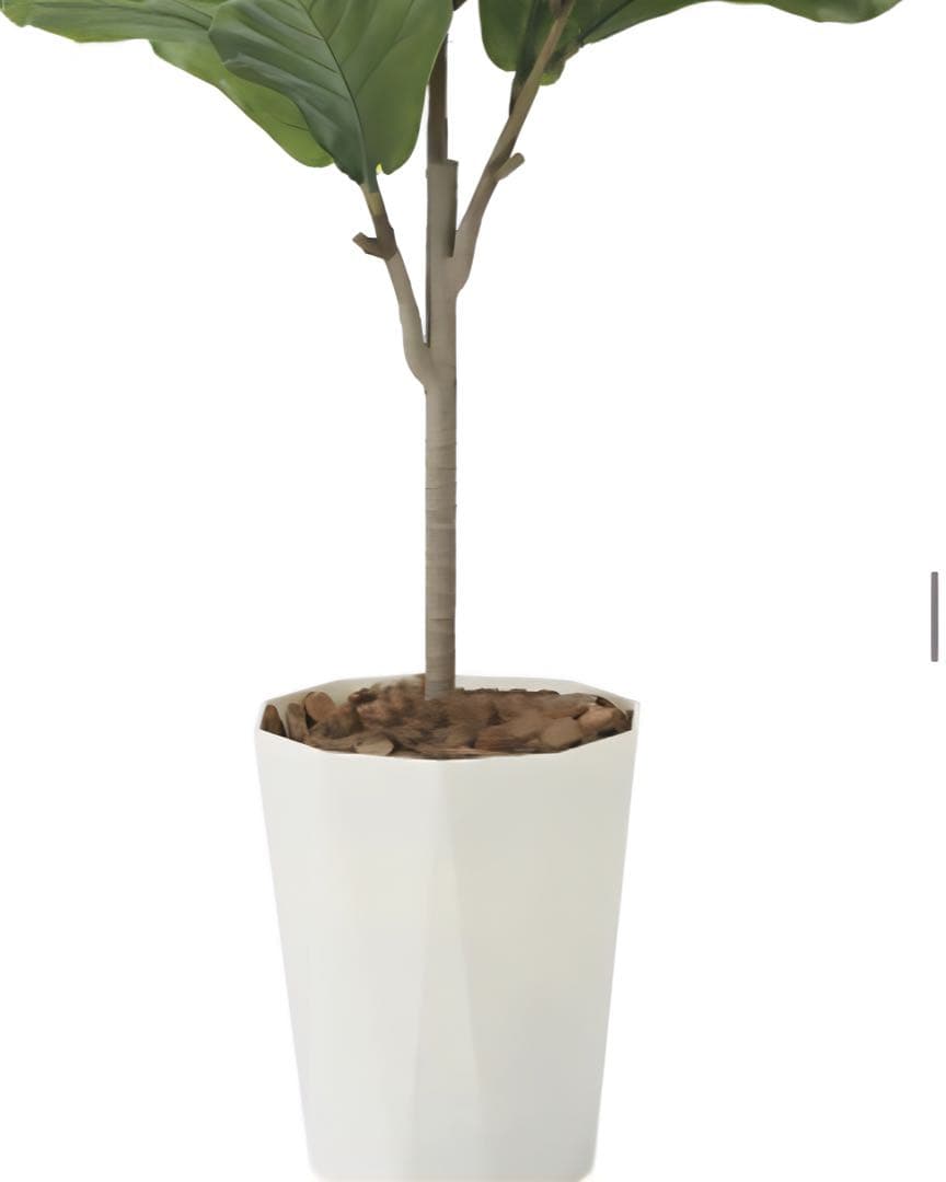 光触媒　人工観葉植物　ウォールグリーン　フェイクグリーン　カシワバゴム1.25