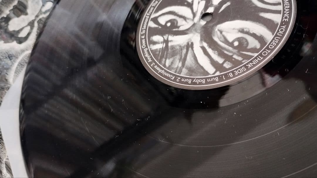 エリカパフォーマンス you used to thinkLPアナログレコード