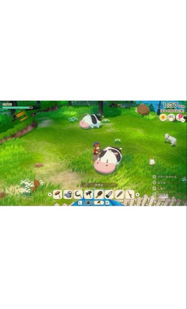 牧場物語　風のグランドバザール　Switch2 公式ガイドブック　セット