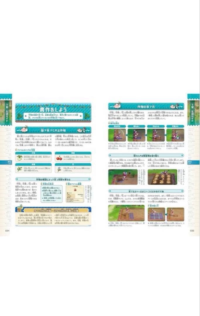 牧場物語　風のグランドバザール　Switch2 公式ガイドブック　セット