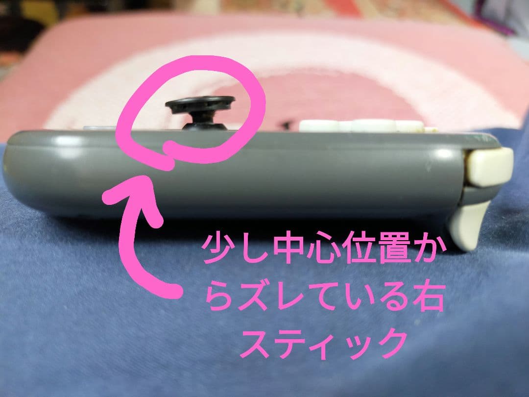 【ジャンク】Nintendo Switch Lite (本体のみ)