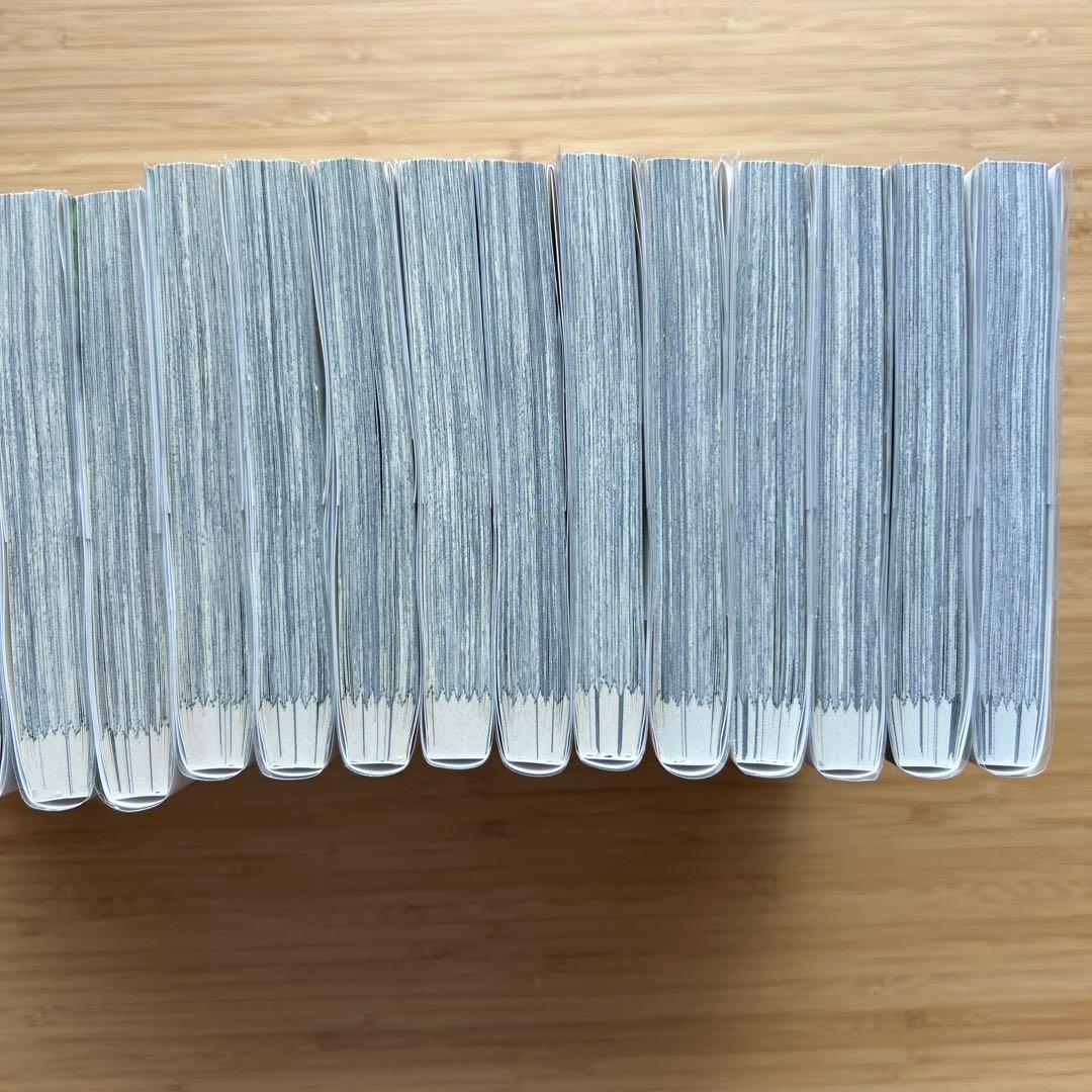 リエゾン１〜２０