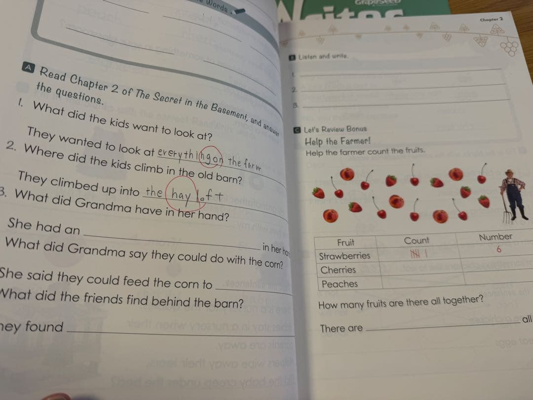 子ども向け英語教材GrapeSEED まとめ売り
