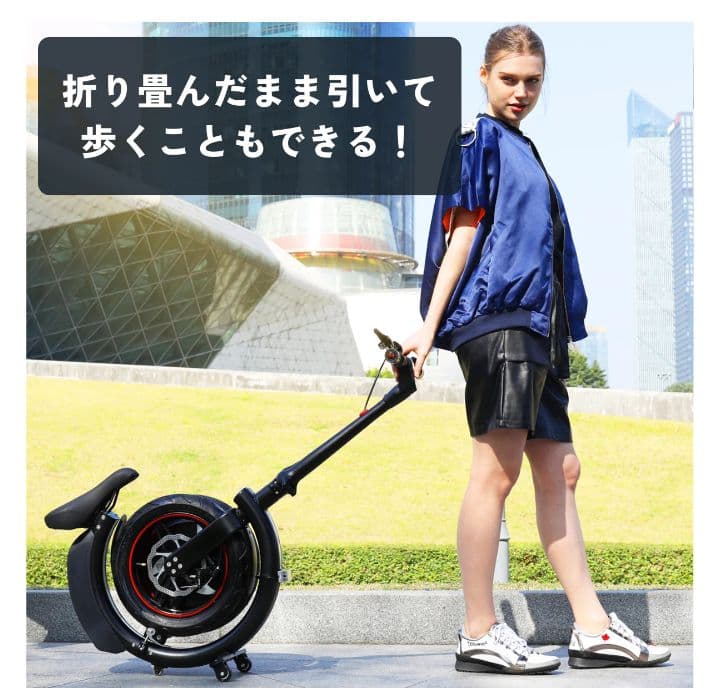 SWIFT HORSE K2 電動アシスト自転車