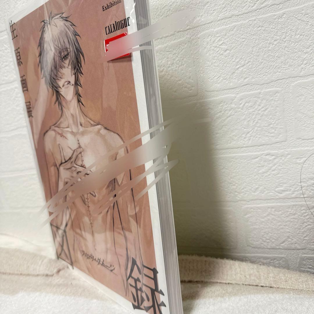 スロウダメージ 生原画展 Slow Damage 図録 新品