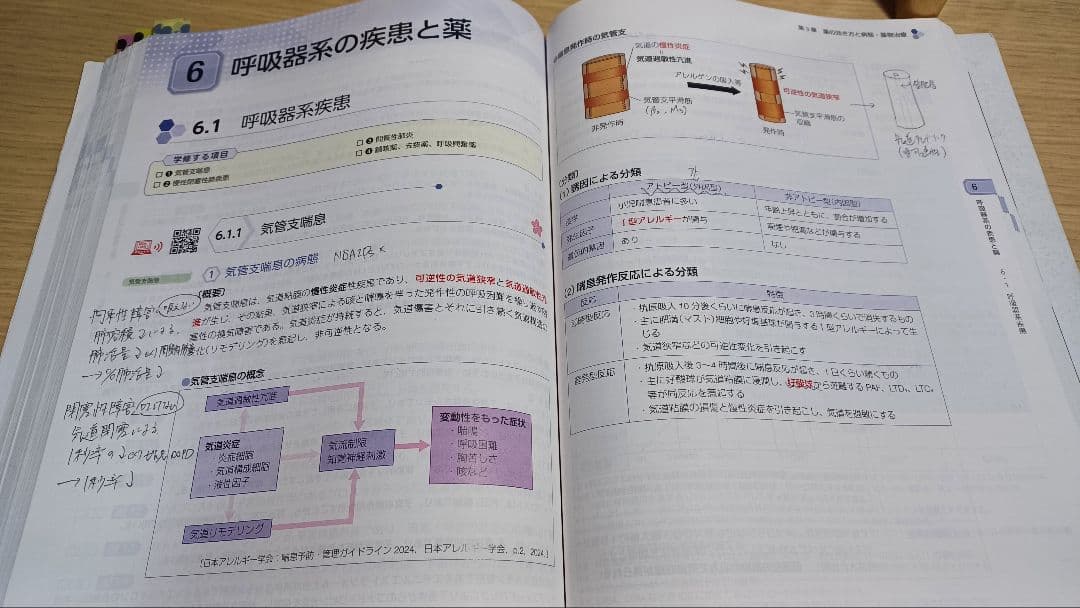 薬剤師国家試験　青本青問　必須問題集　領域別　回数別　セット