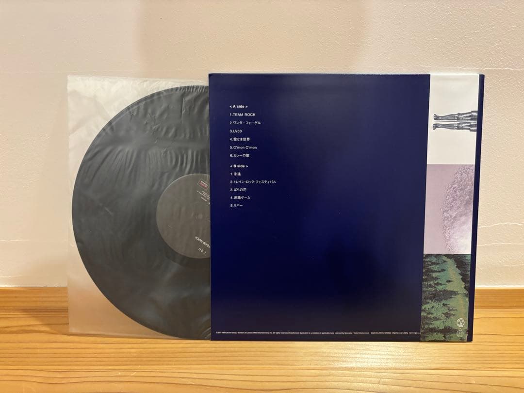m*v様 くるり TEAM ROCK レコード　アナログ盤