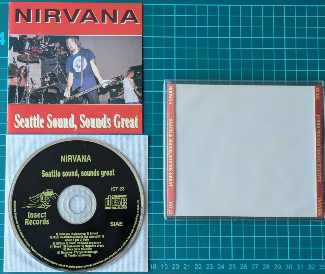 【希少盤】ニルヴァーナ/ Seattle Sound, Sounds Great