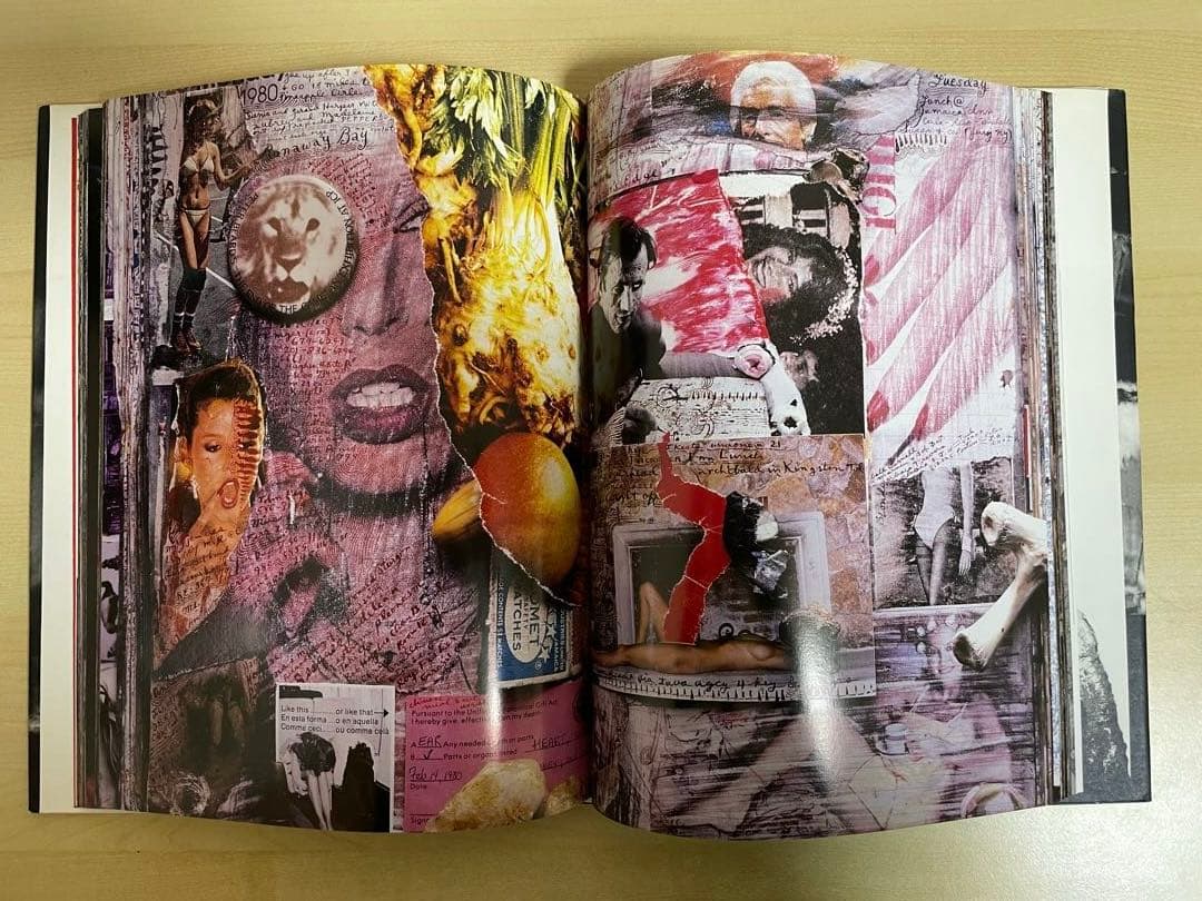 アート・デザイン・音楽 Diary Peter Beard
