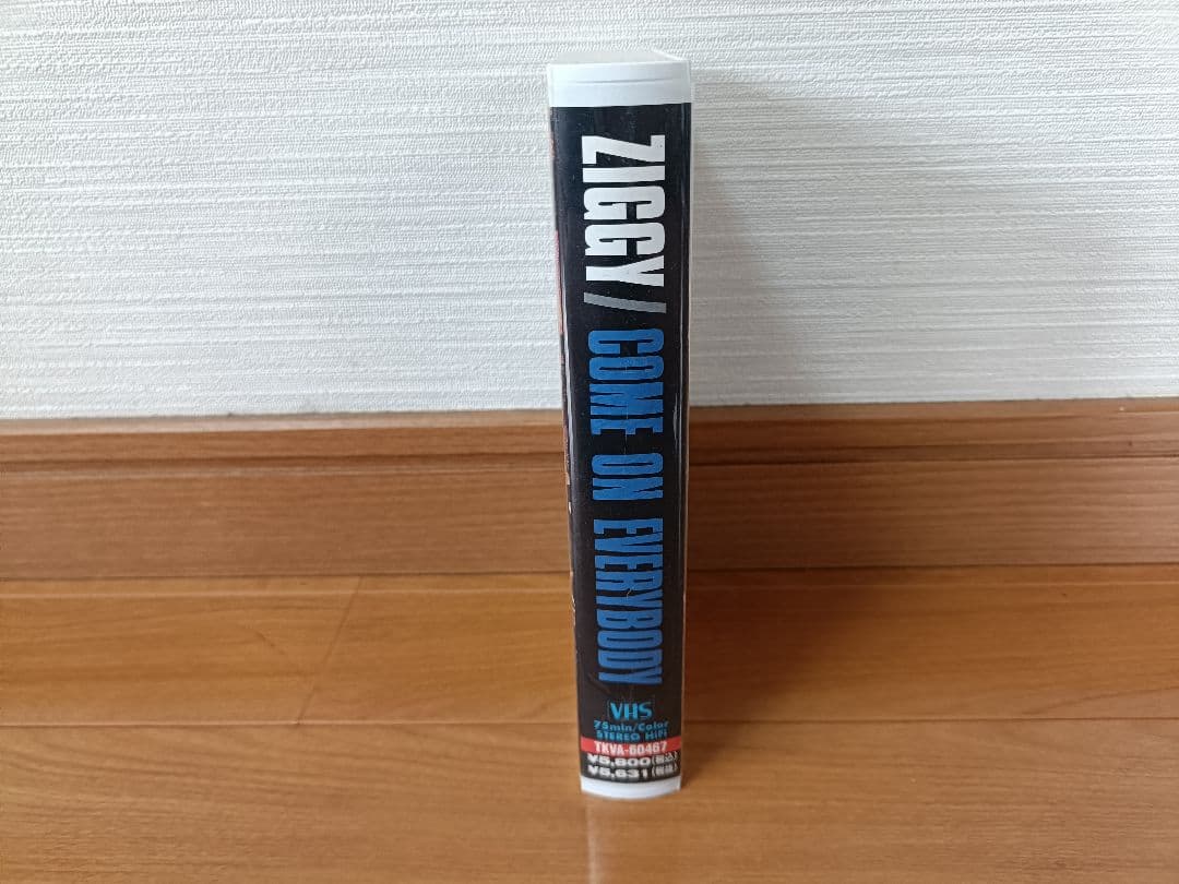 【Kisa】ZIGGY CD DVD VHS